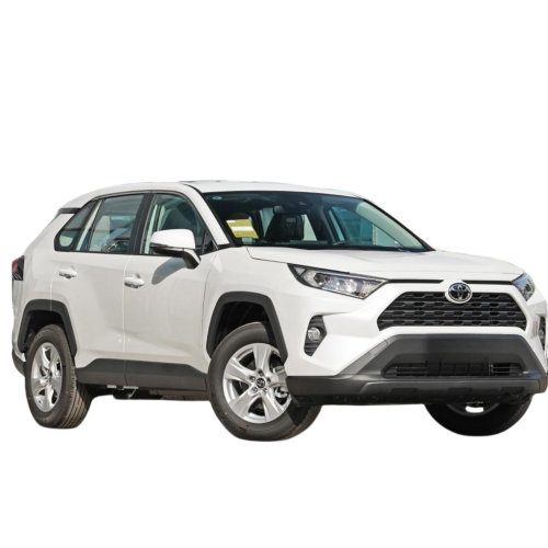 2022 Toyota RAV-4 2.0L Auto a benzina a benzina per la porcellana per adulti